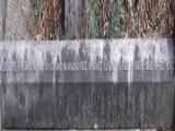image of grave number 451966